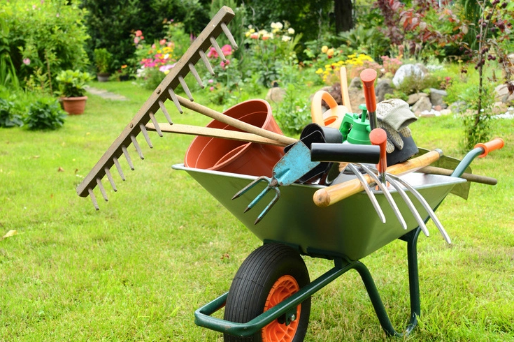 Wheelbarrow - Trolley